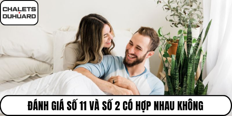 Đánh giá số 11 và số 2 có hợp nhau không