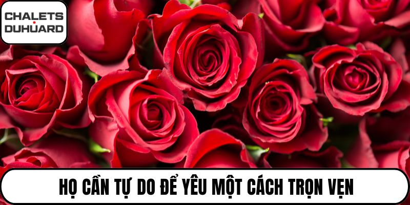 Họ cần tự do để yêu một cách trọn vẹn