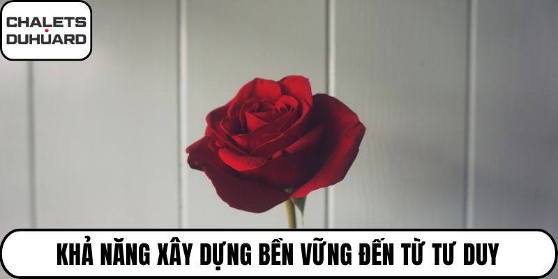 Khả năng xây dựng bền vững đến từ tư duy
