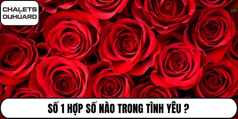 số 1 hợp số nào trong tình yêu