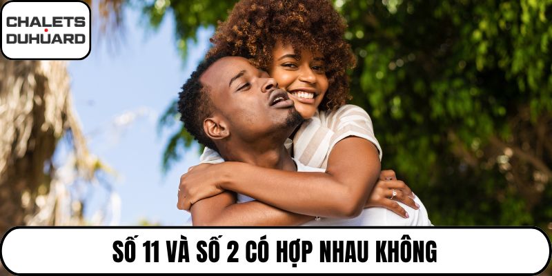 Số 11 và số 2 có hợp nhau không