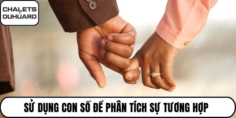 Sử dụng con số để phân tích sự tương hợp