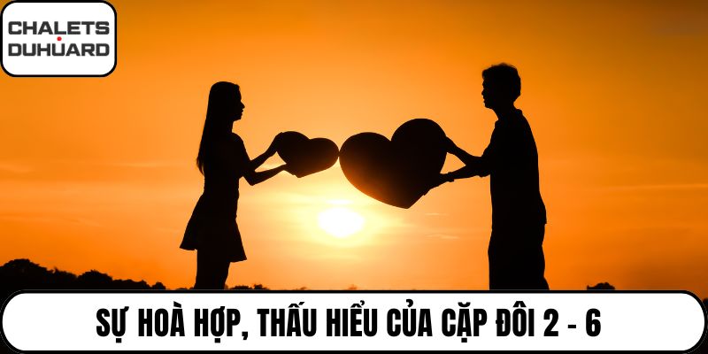 Sự hoà hợp, thấu hiểu của cặp đôi 2 - 6