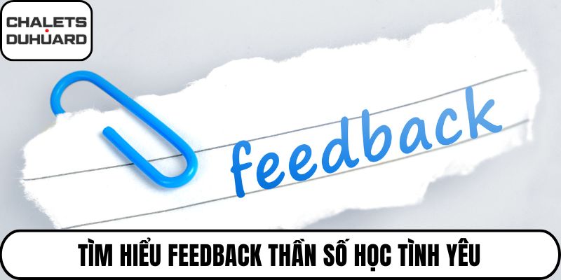 Tìm hiểu feedback thần số học tình yêu