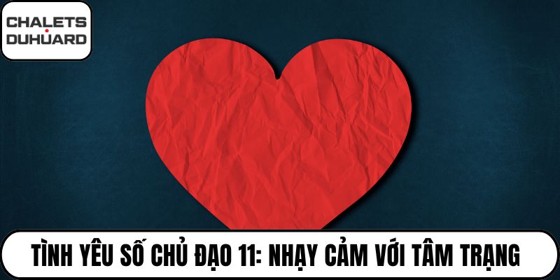 tình yêu số chủ đạo 11
