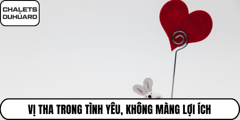 Vị tha trong tình yêu, không màng lợi ích