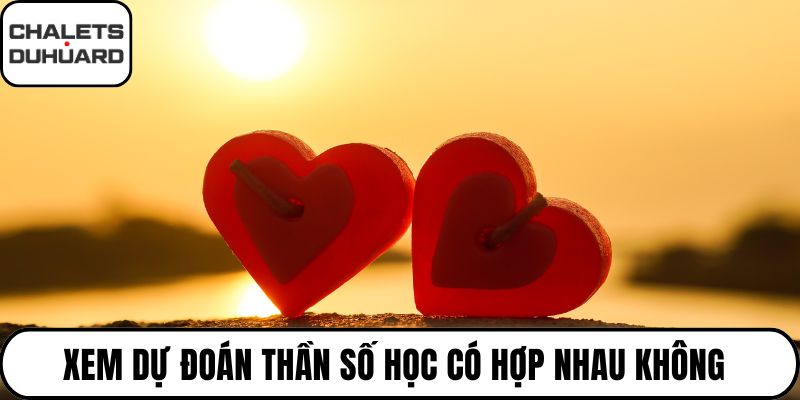 Xem dự đoán thần số học có hợp nhau không