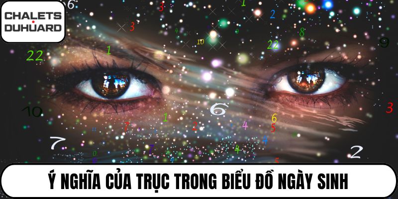 Ý nghĩa của trục trong biểu đồ ngày sinh